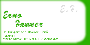 erno hammer business card