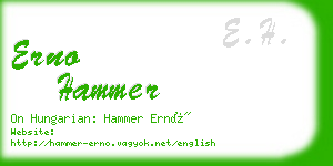 erno hammer business card